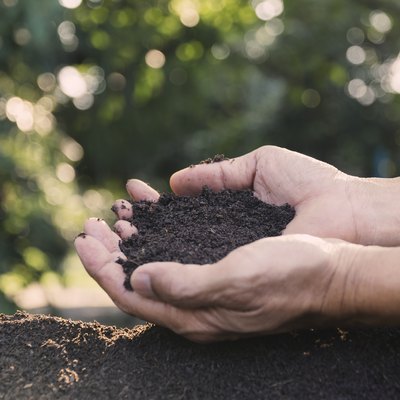 Closeup hands holding abundance soil in nature background for agriculture or planting peach concept.