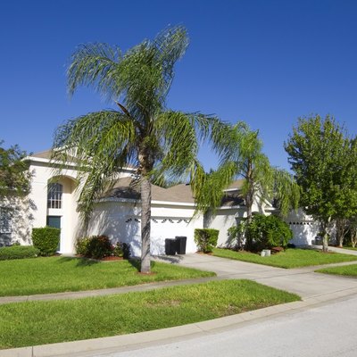 Residential neighborhood in Florida.