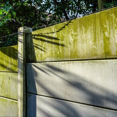 Morning sun shines on concrete fence with green algae and barbed wire on top.