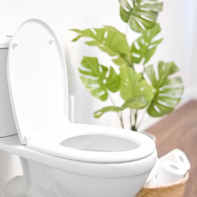 Modern toilet, great design for any purposes. Ceramic toilet bowl with toilet paper near light wall