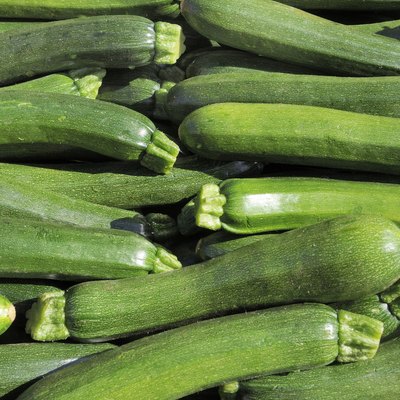 Organic Zucchini, Vegetables at a Farmer's Market