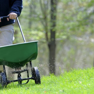 A man fertilizing a grassy lawn.