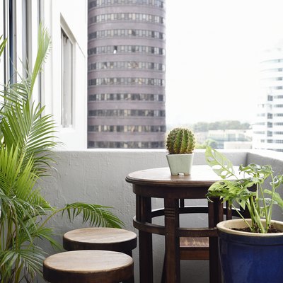 Apartment balcony table with plants
