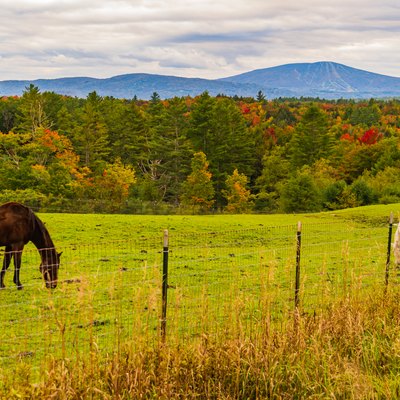 Horse pasture in Vermont