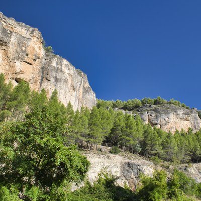 Pine trees and mountain wall in the Sierra de Cuenca