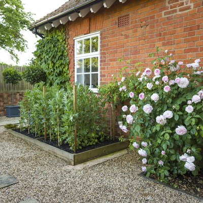 Garden with hard landscaping and rose bush, UK.