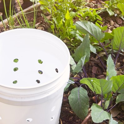 A lettuce bed with a self-prepared bucket designed for composting.
