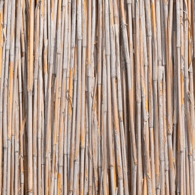 Reeds Wall Texture Background