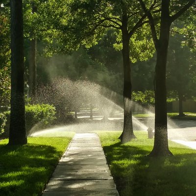 Morning Sunlight through Sprinklers