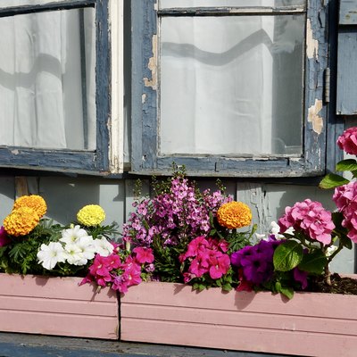 Shabby cottage with colorful flower boxes in the window