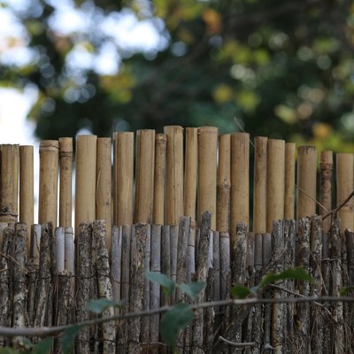 Bamboo Reed Fencing