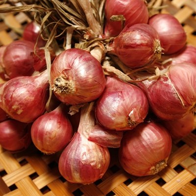 Shallots in basket.