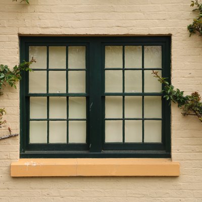 Dark-framed double window with vines.
