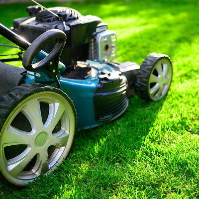 Lawn Maintenance | Hunker