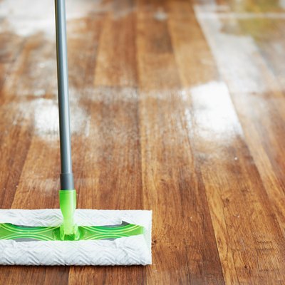 Closeup on mop and damp hardwood floor.
