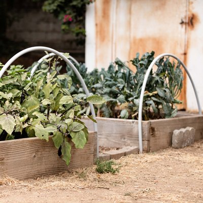 Outdoor gardens with a metal watering can