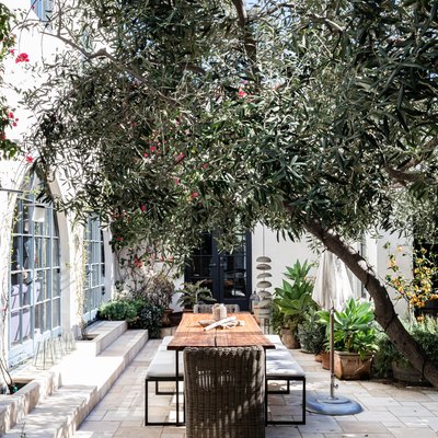 A mediterranean styled patio with trees and plants