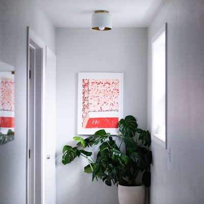 hallway with light grey walls, indoor potted plant, and orange and pink art