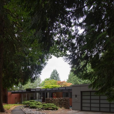 A mid-century gray ranch house with a flat roof, tall trees and hedges in the front landscaping