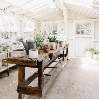Interior of a white green house with a rustic wood table, plants, and planters.