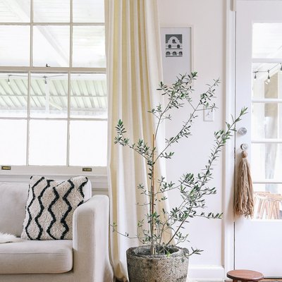 Tree plant in a hypertufa planter, between a white sofa and a wood stool