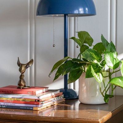 Pothos plant in white planter on side table with blue lamp and stacked books.