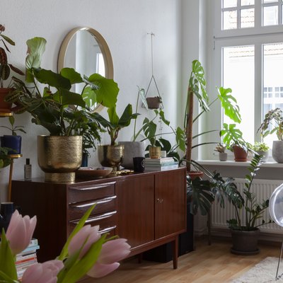 lots of houseplants and midcentury credenza in eclectic boho living room