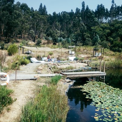 a small swimming hole with a dock, a sunbathing area, and water lilies