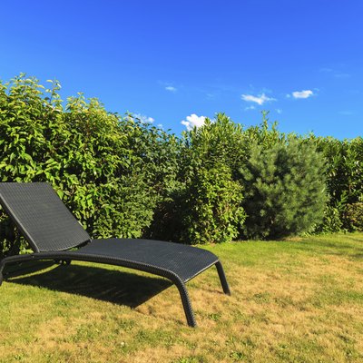 Lawn Chair