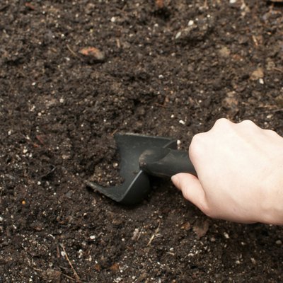 Digging soil with black gardening tool