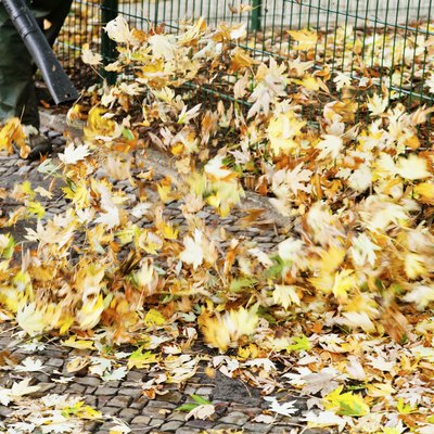 clearing of pavement from autumn leaves