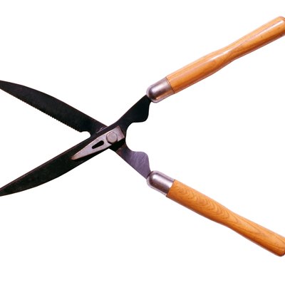 Hedge clippers