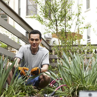 Gardening in urban backyard