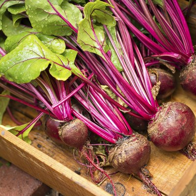 Red Beets
