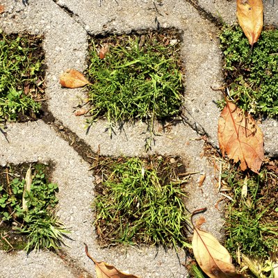 Turf Stone