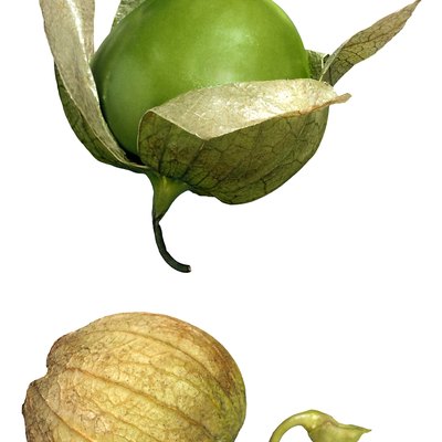 Tomatillos