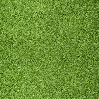 Green grass background