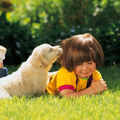 Girl and puppy lying in grass