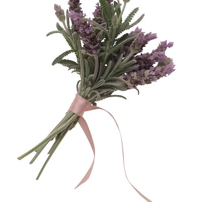 Bundle of lavender
