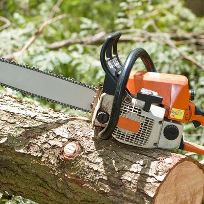 Chainsaw on fallen tree