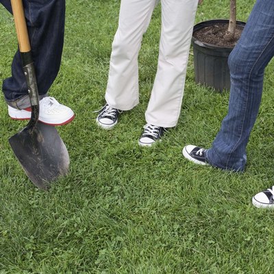Legs of people planting tree