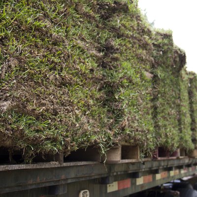 Pallets of Sod Grass on a Truck