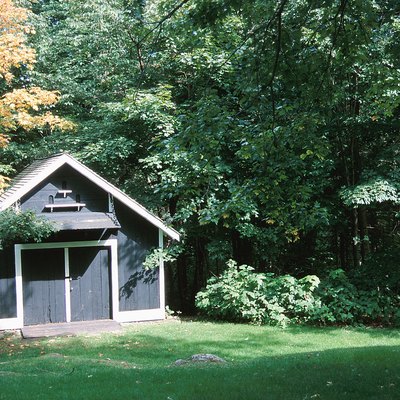 Shed in the woods