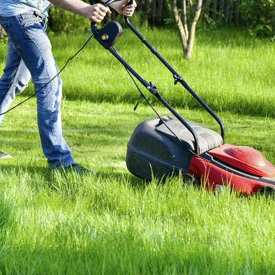 Man with lawnmower