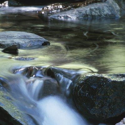 Stream in the wilderness