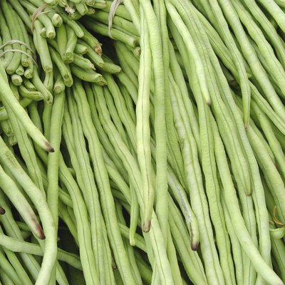 Food: Long Green Beans
