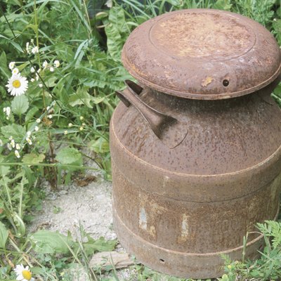 Antique milking can