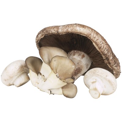 Mushrooms