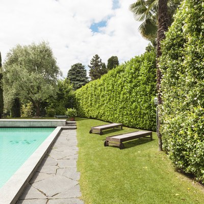 house with swimming pool
