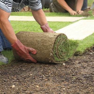 Laying sod for new lawn
